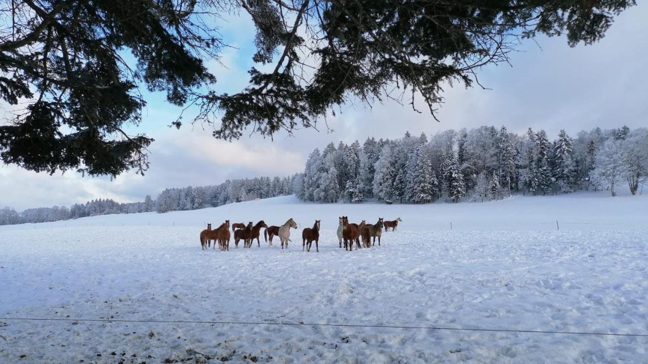 Gite Rural 1666 Сеньлежье Экстерьер фото